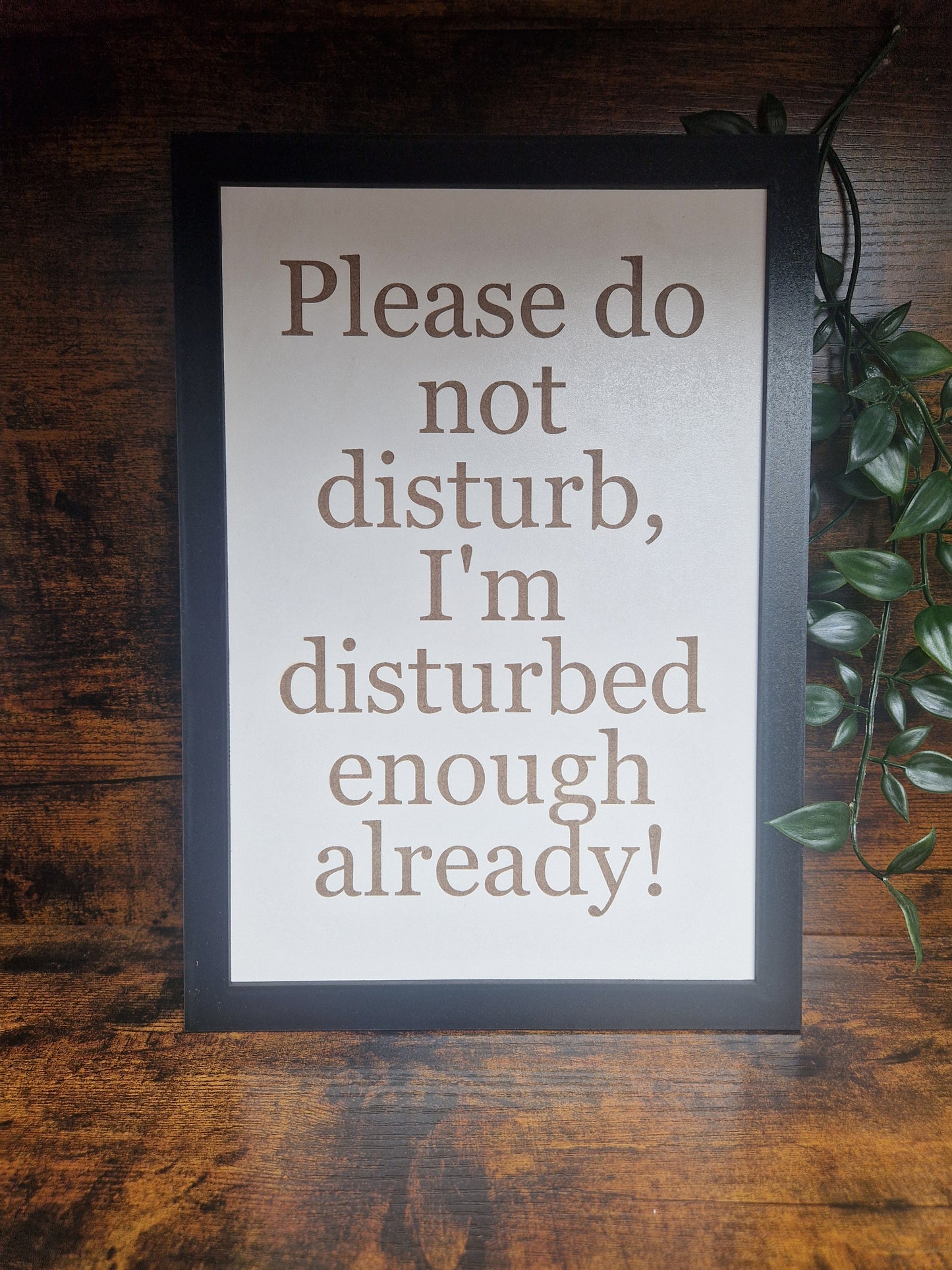 Please do not disturb funny sign