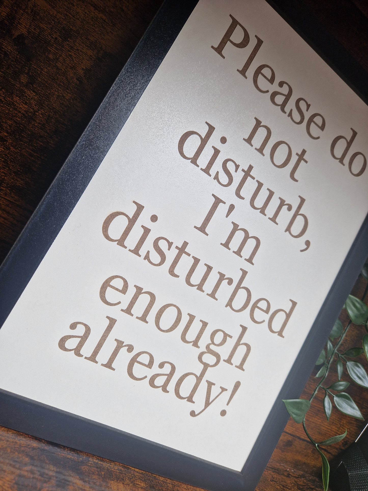 Please do not disturb funny sign