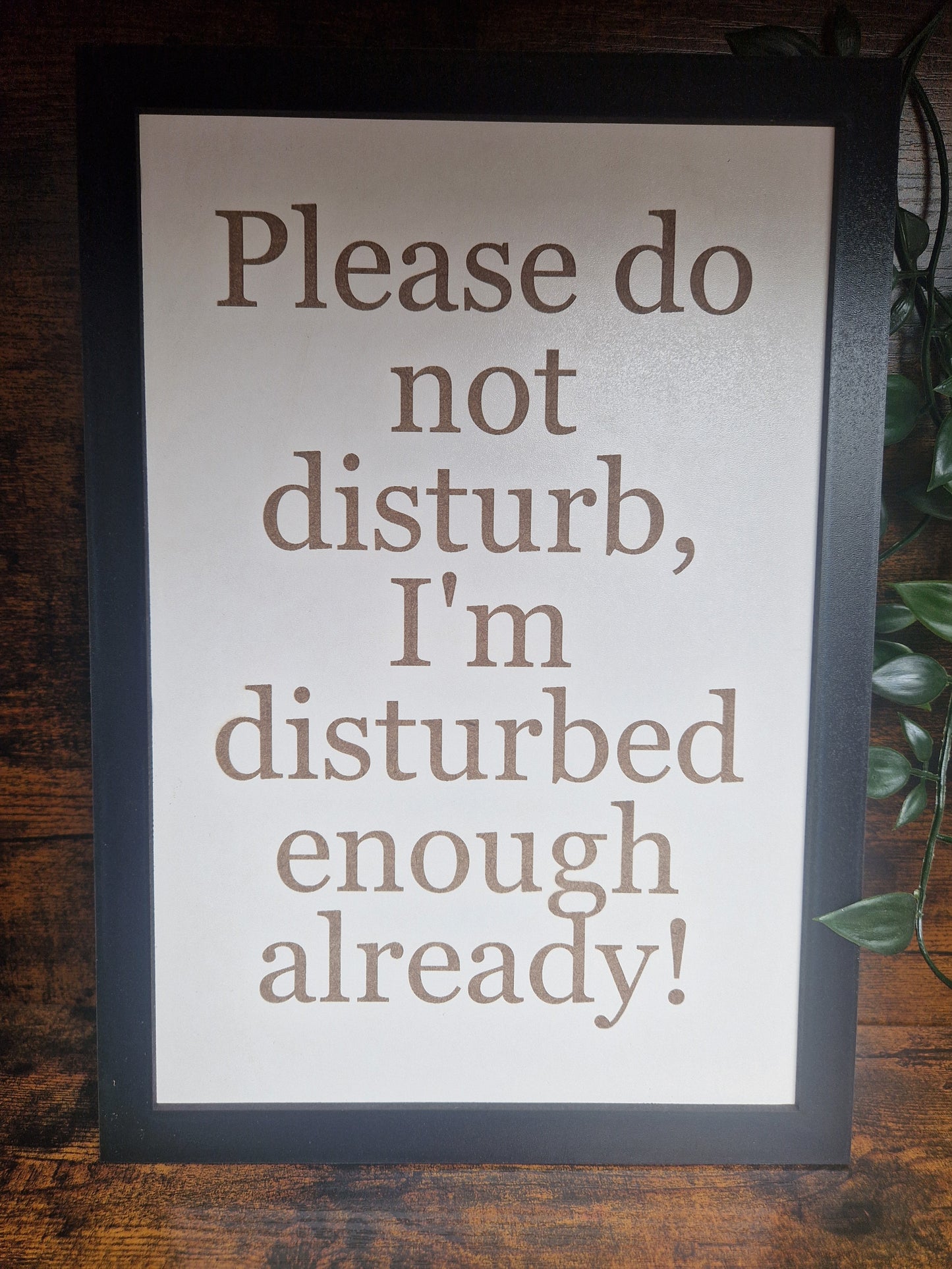 Please do not disturb funny sign