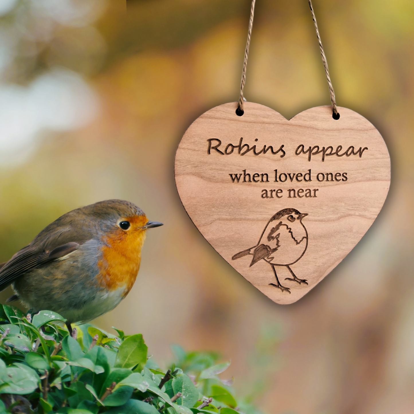 Robins Appear Hanging Sign