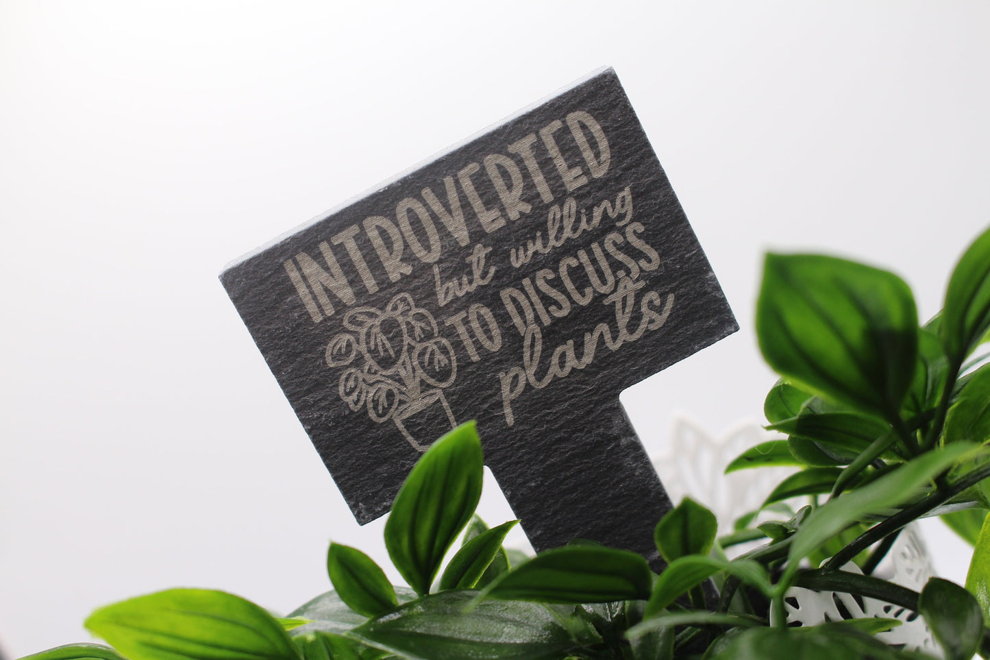 Slate Plant Decoration