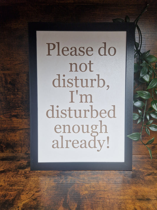 Please do not disturb funny sign