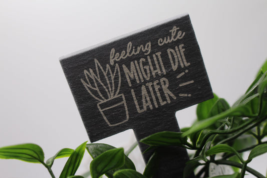 Slate Plant Decoration